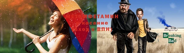 спиды Богданович