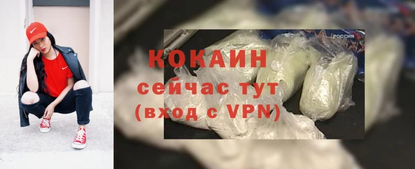 спиды Богданович