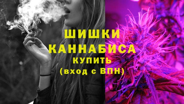 спиды Богданович