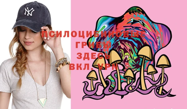 спиды Богданович