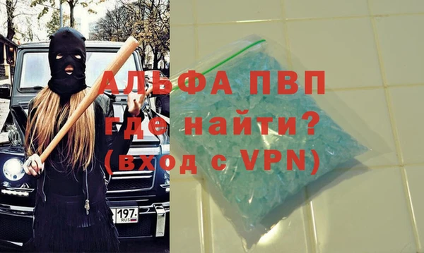 спиды Богданович